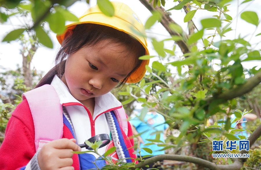 福建漳平：花木产业助农增收