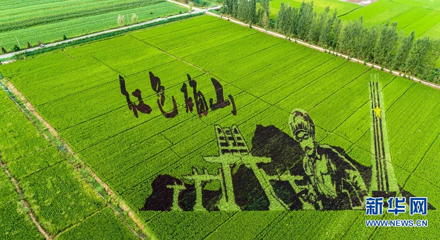 【城市远洋】河南确山：稻花香里看画展