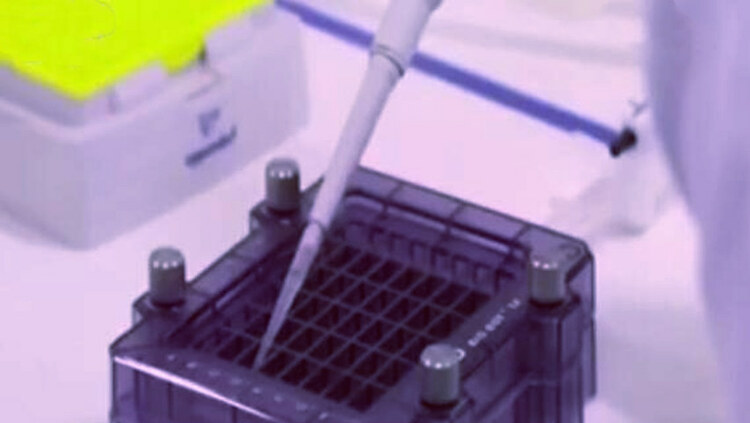 美德公司部分新冠肺炎疫苗试验参与者出现副作用反应