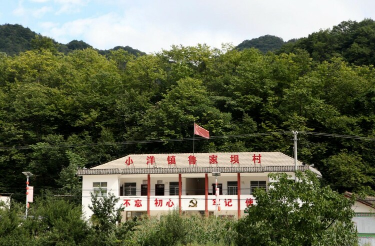 从贫困村到整村脱贫 鲁家坝村是怎么做到的？