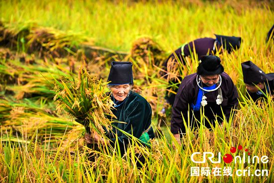 （有修改）贵州丹寨举行2020年“丰收大典”活动