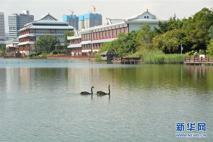 厦门五缘湾变身“城市新客厅”