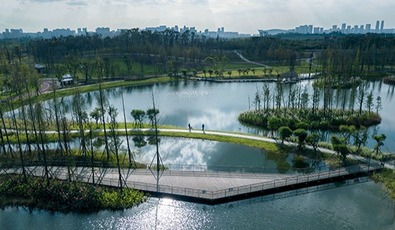 图片默认标题