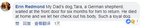 图片默认标题_fororder_5