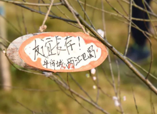 图片默认标题_fororder_2260379d-e5b5-4a19-80bf-53f3edb66e7e