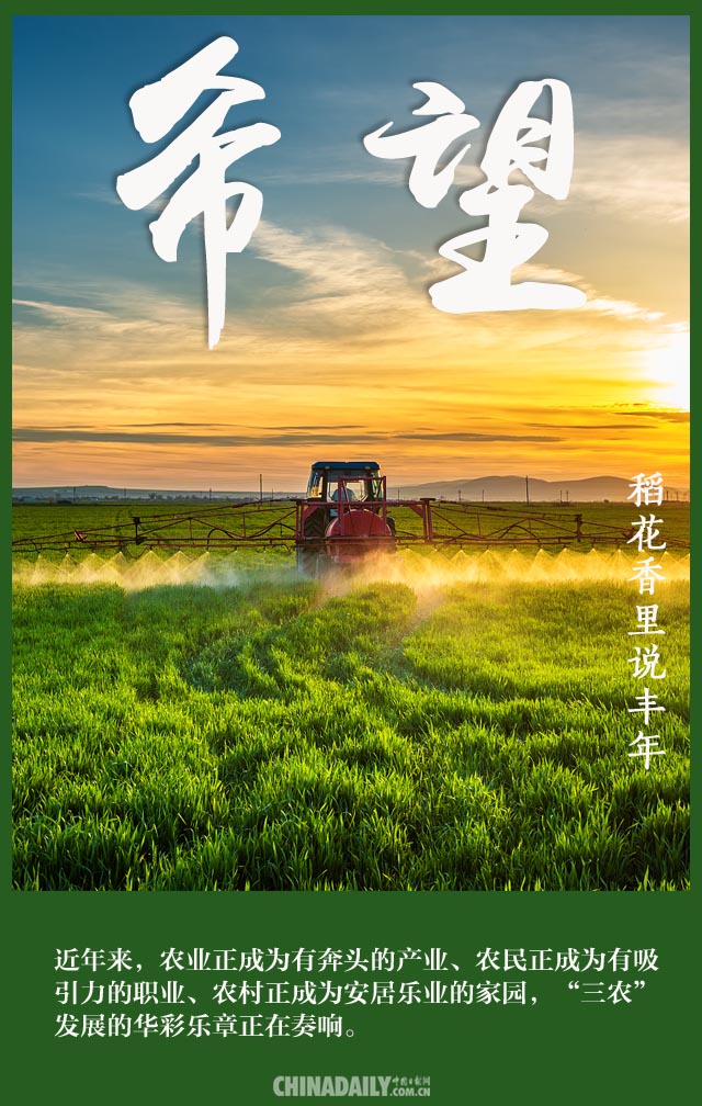 【海报】致敬农民：稻花香里说丰年