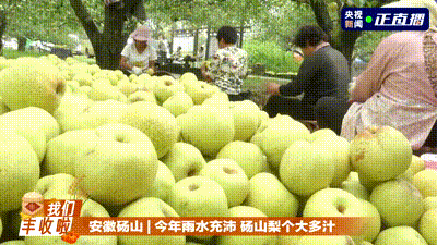 五谷丰登 鱼肥蟹美 我们丰收啦！
