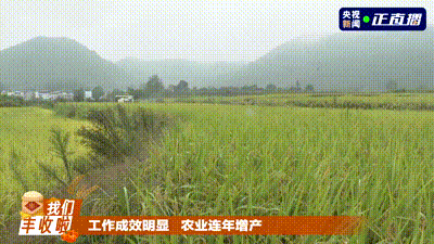 五谷丰登 鱼肥蟹美 我们丰收啦！