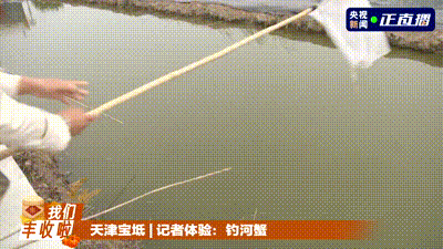 五谷丰登 鱼肥蟹美 我们丰收啦！