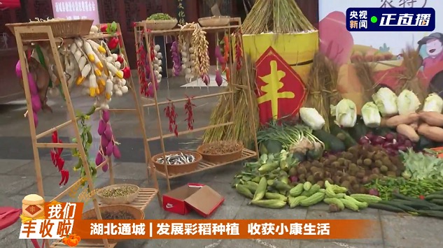 五谷丰登 鱼肥蟹美 我们丰收啦！