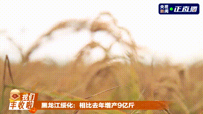 五谷丰登 鱼肥蟹美 我们丰收啦！
