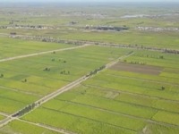 庆丰收迎小康 各地农民喜迎丰收节_fororder_无标题