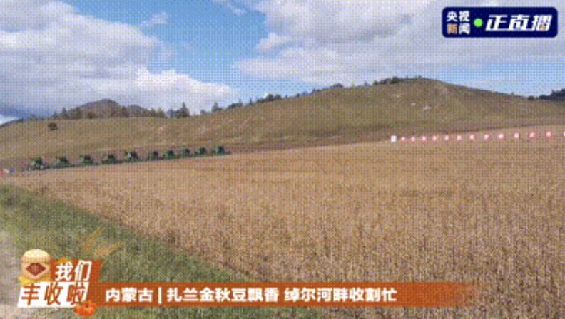五谷丰登 鱼肥蟹美 我们丰收啦！