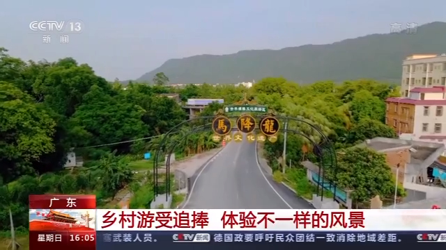 游乡村、穿古镇、赏花海 全国各地游人如织
