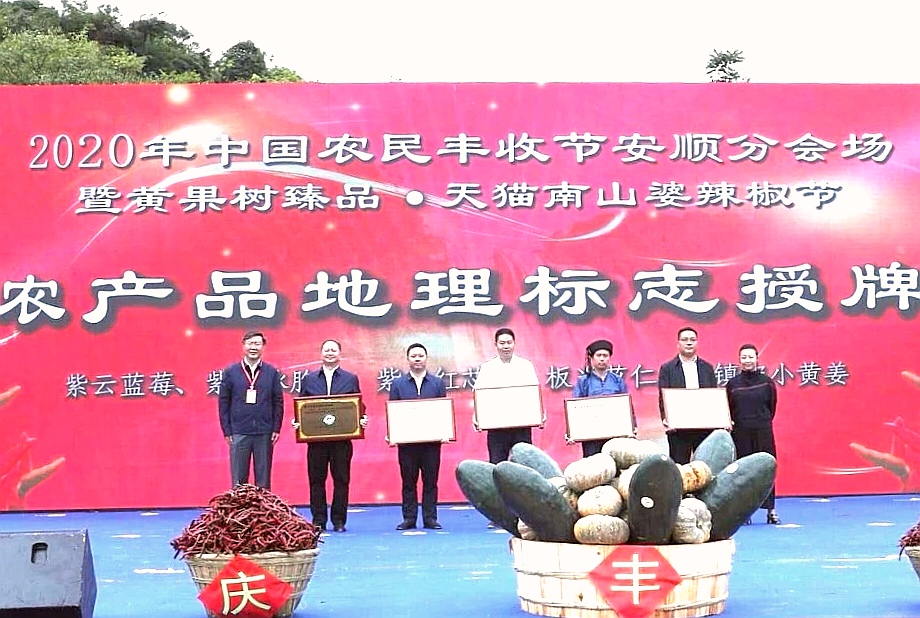 2020中国农民丰收节贵州安顺分会场活动启动