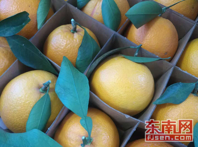 闽清：平台集聚 “三农”服务超市助力乡村振兴