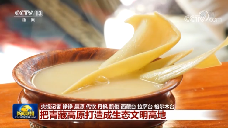 【“十三五”成就巡礼】把青藏高原打造成生态文明高地