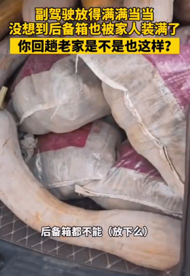 回趟家，仿佛进货！有种爱，叫妈妈给装的后备箱