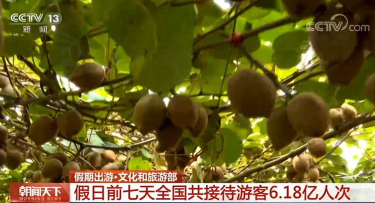 假日前7天全国共接待游客6.18亿人次