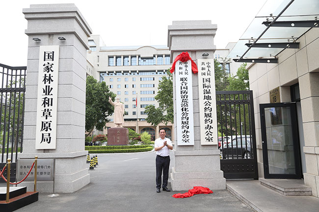 “十三五”我国荒漠化防治成绩单来了！