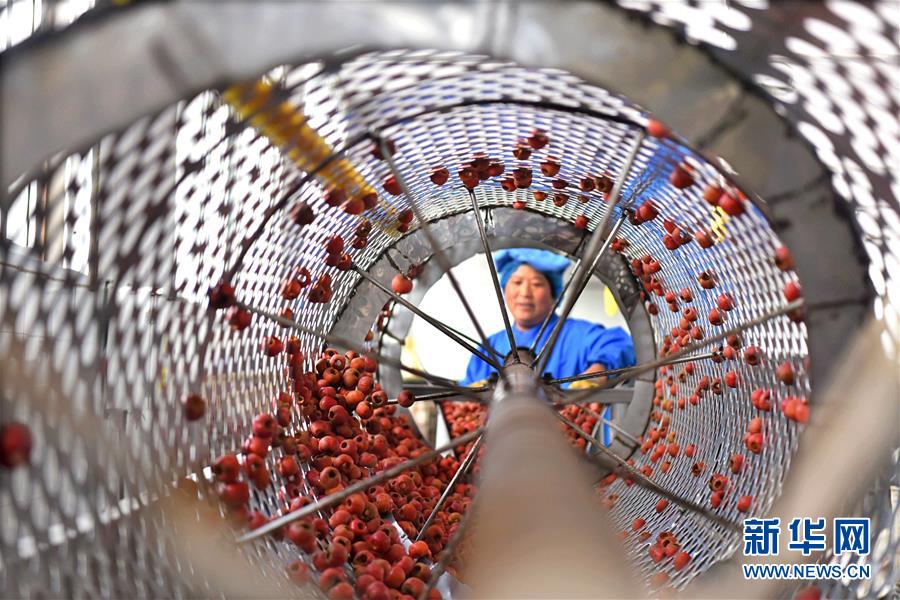 山东沂源：家门口就业助力脱贫增收