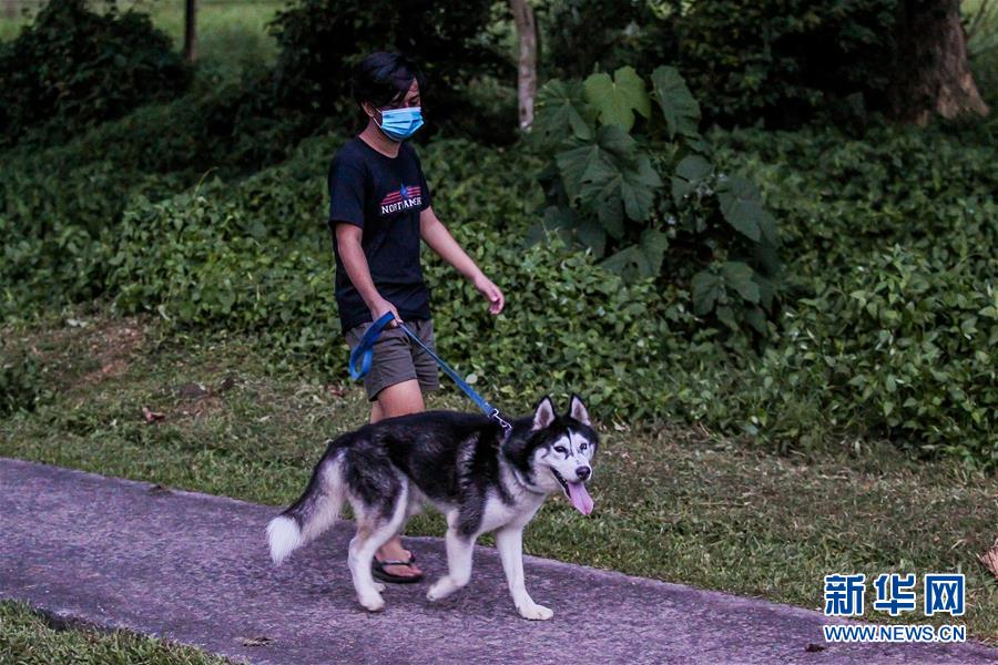 菲律宾累计新冠病例超30万