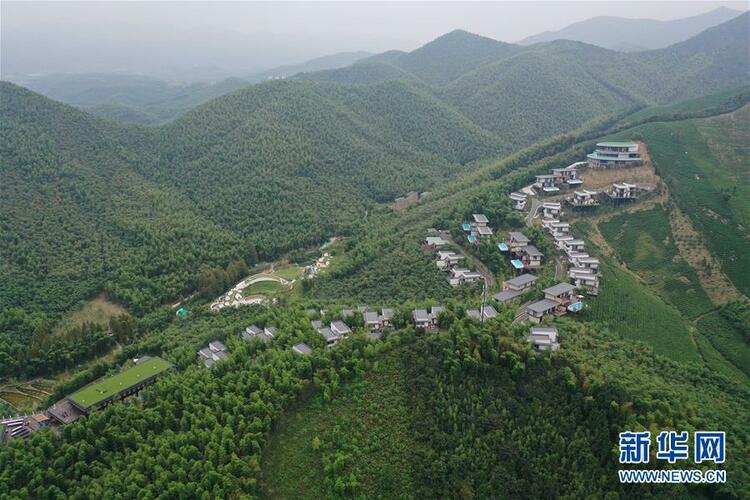 “绿”从天目盎然出——湖州做好“六稳”工作落实“六保”任务新观察