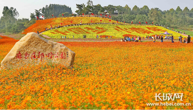 秦皇岛：花海景观迎国庆