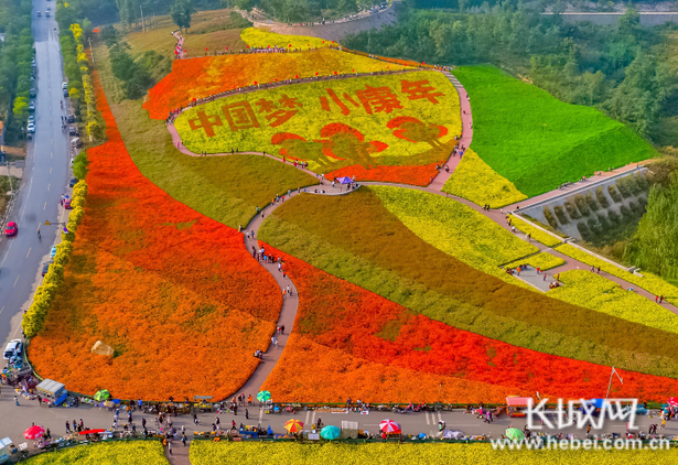 秦皇岛：花海景观迎国庆