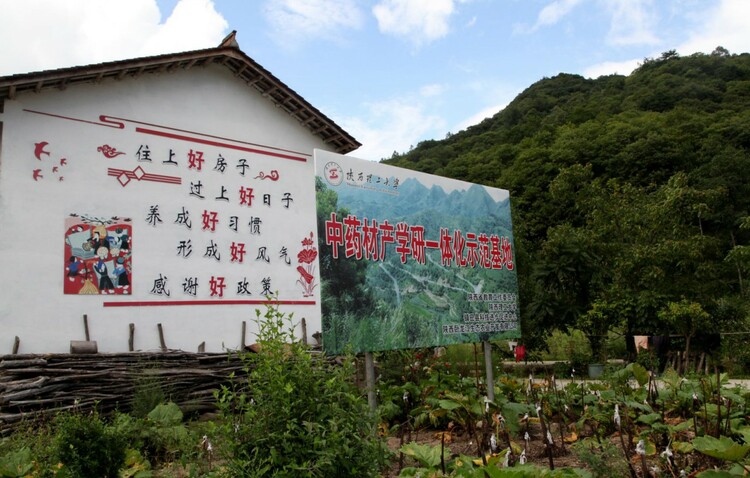 从贫困村到整村脱贫 鲁家坝村是怎么做到的？