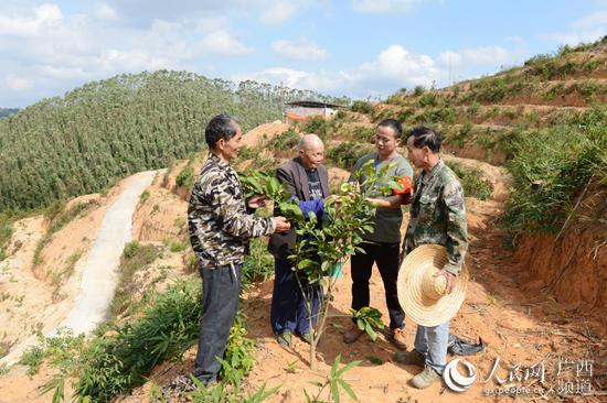 新春走基层：广西容县脱贫户喜气洋洋过大年