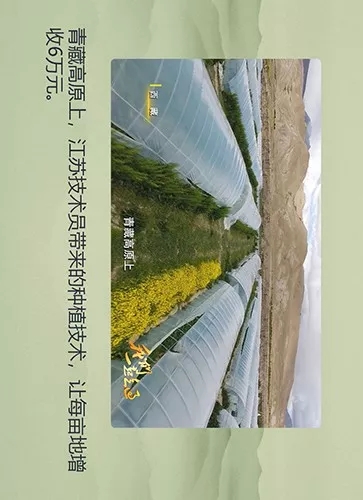 图片默认标题_fororder_1_9
