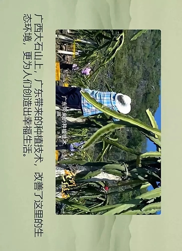 图片默认标题_fororder_1_11