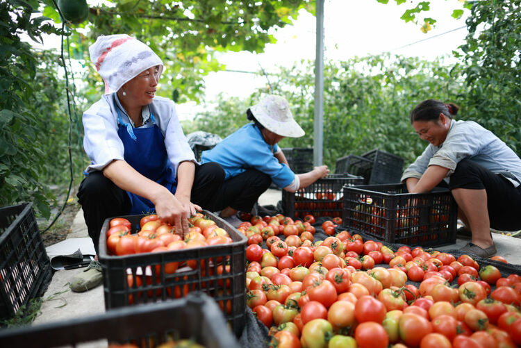 新华全媒头条：千年之渴今朝解——贵州贫困群众实现“吃水不愁”