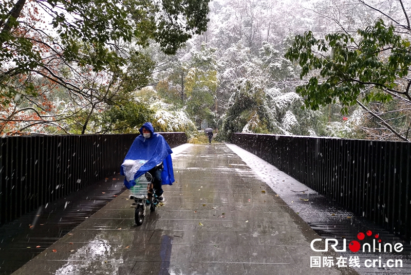 贵州贵阳大年初一迎瑞雪（组图）