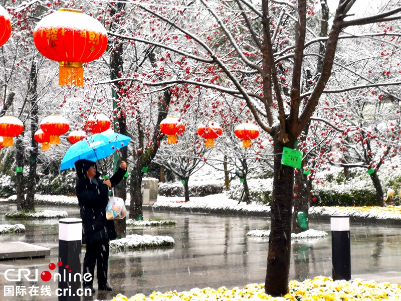 贵州贵阳大年初一迎瑞雪（组图）