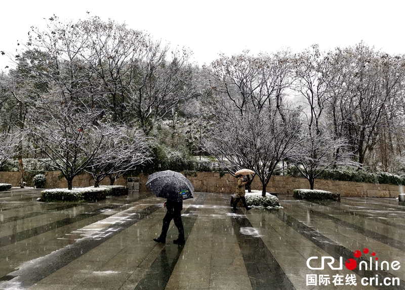 贵州贵阳大年初一迎瑞雪（组图）
