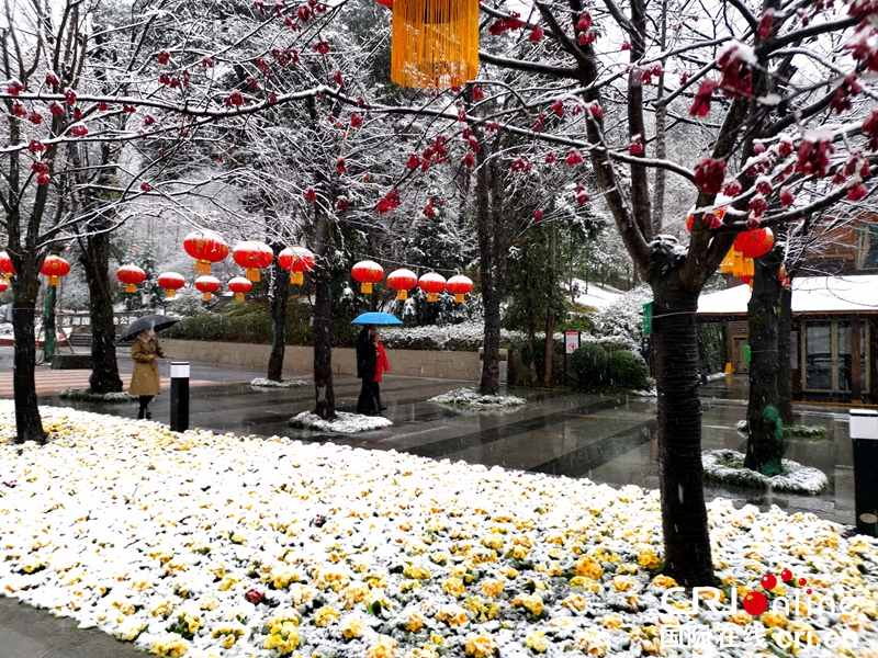 贵州贵阳大年初一迎瑞雪（组图）