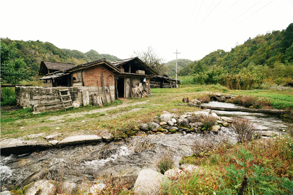 （加急）【GO!“雁至滨”小康专列】雁引福至宾朋来 致富路上好风光
