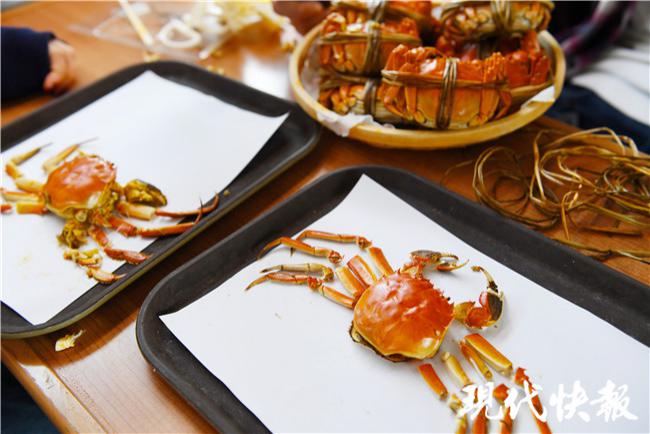 【坐着高铁看中国】京沪线直播间美景美食轮番登场，“迟来的春节”一样精彩