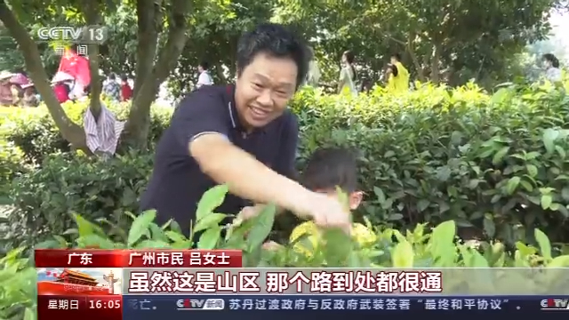 游乡村、穿古镇、赏花海 全国各地游人如织