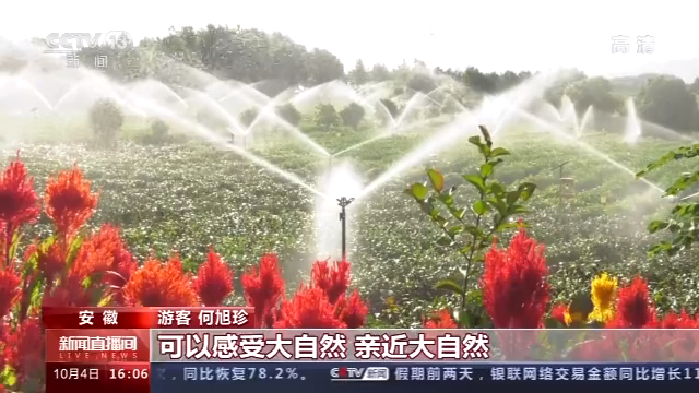 游乡村、穿古镇、赏花海 全国各地游人如织