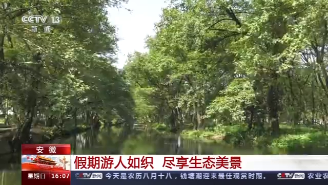 游乡村、穿古镇、赏花海 全国各地游人如织