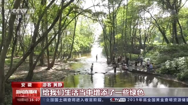 游乡村、穿古镇、赏花海 全国各地游人如织