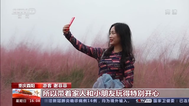 游乡村、穿古镇、赏花海 全国各地游人如织