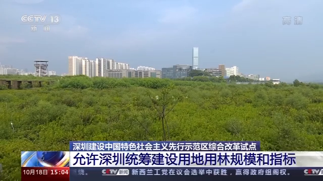 深圳综合改革试点40条首批授权事项清单发布 详解来了→