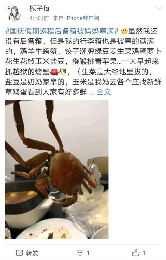 返程高峰开启，后备箱又被塞满了！连副驾驶也没放过