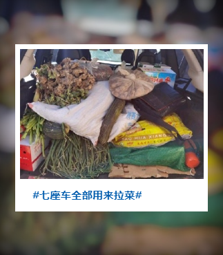 回趟家，仿佛进货！有种爱，叫妈妈给装的后备箱