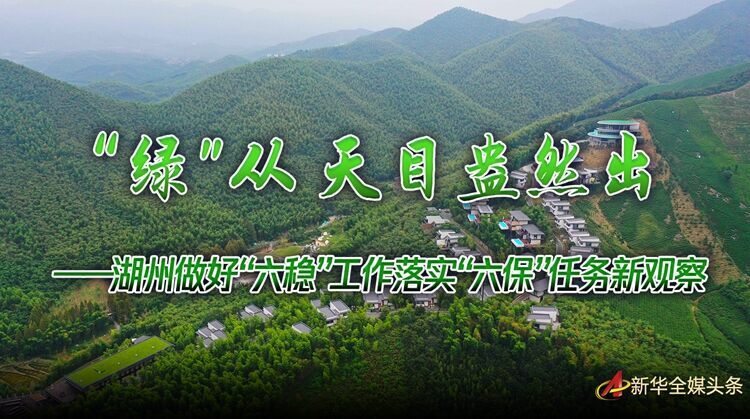 “绿”从天目盎然出——湖州做好“六稳”工作落实“六保”任务新观察