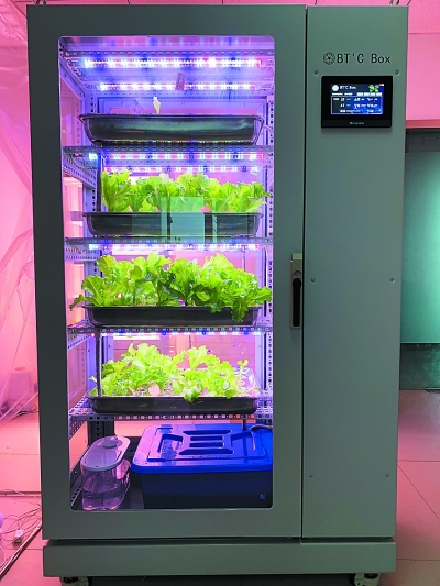 南京一家庭“植物工厂”正式上市销售